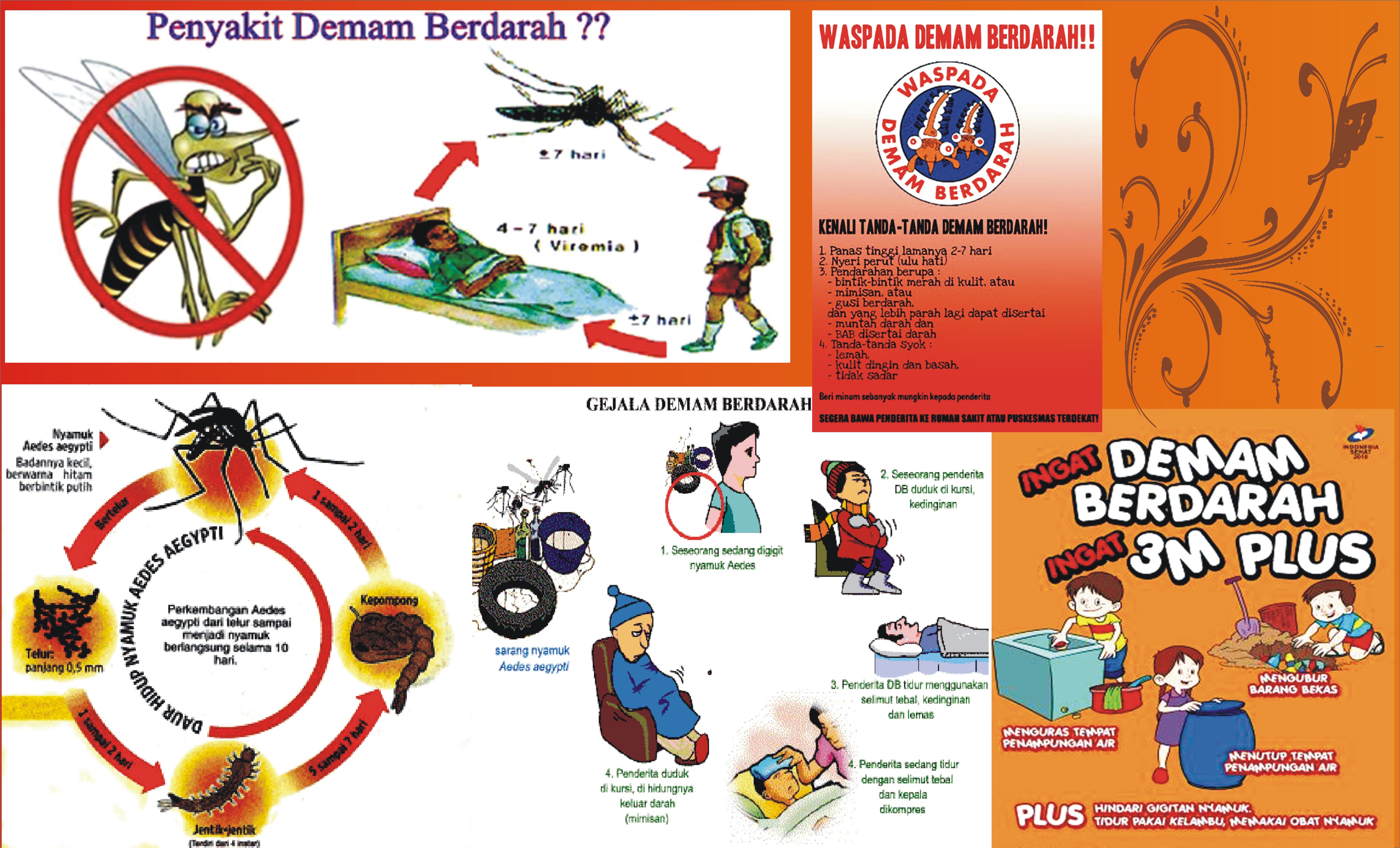 Waspada, 2017 Banyak Penderita DB Meninggal Dunia
